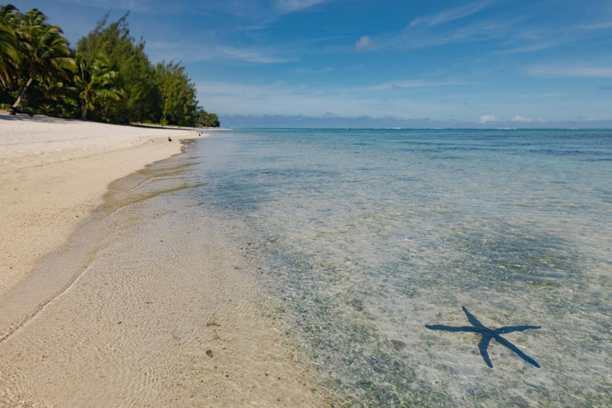 Etu Moana Boutique Beach Villas - Adults Only Arutanga Eksteriør bilde